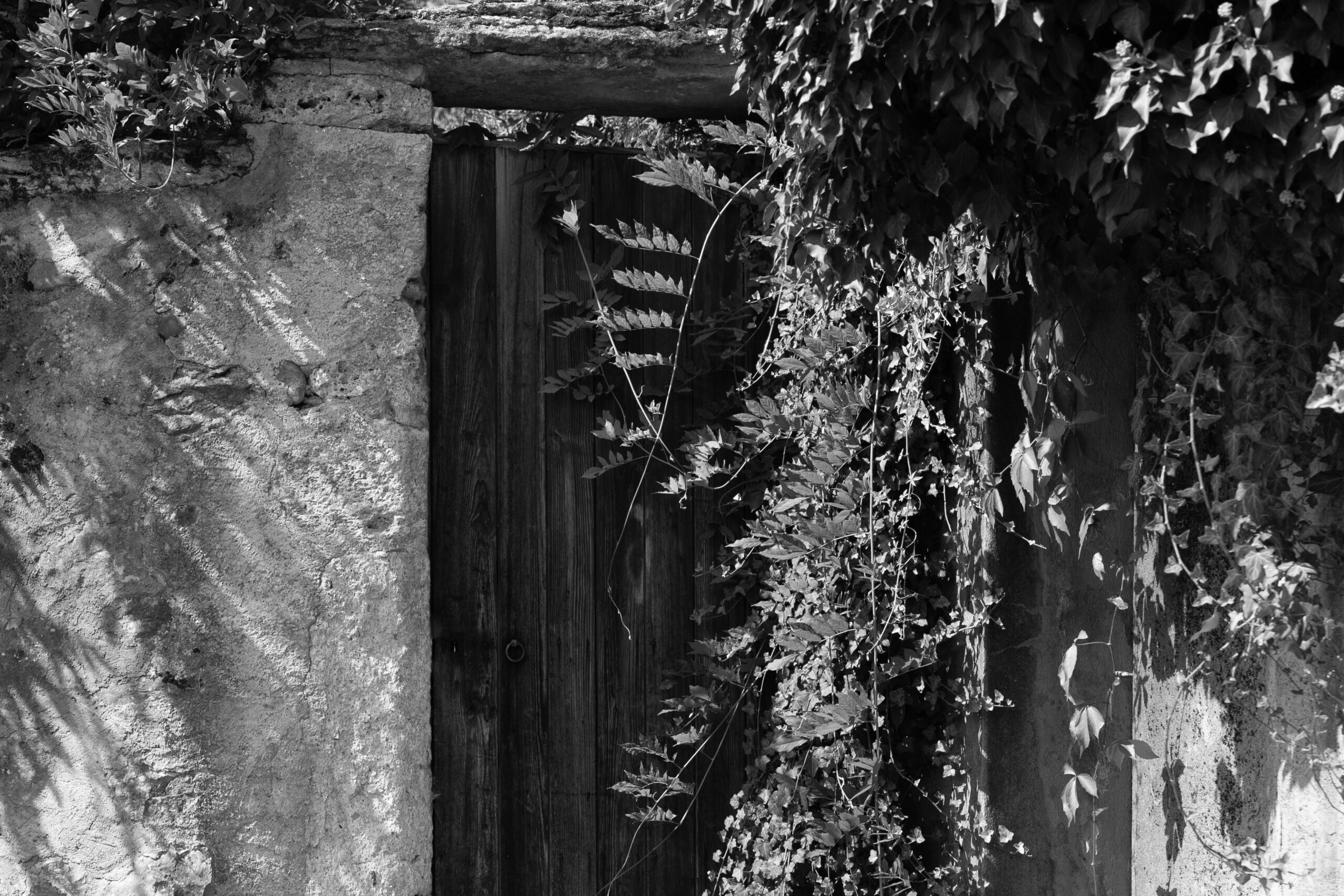 Moudon-16.08.24-61
